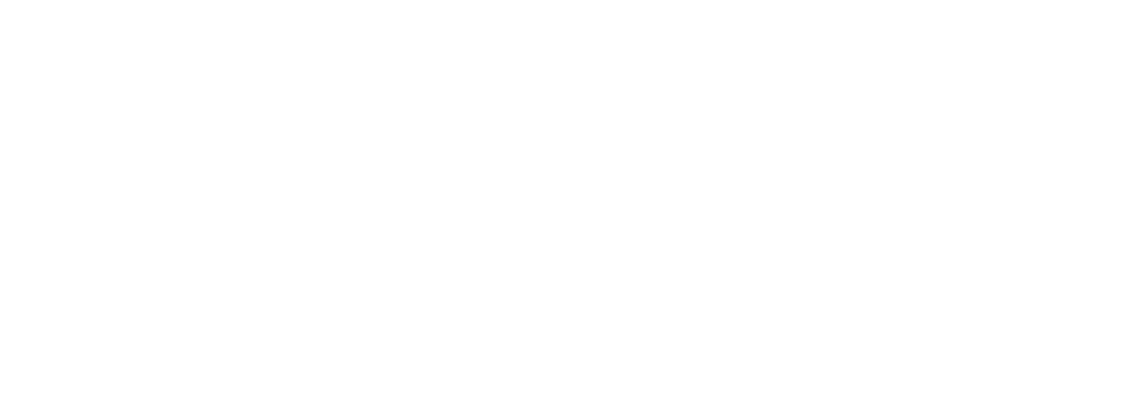 Next Step Partners